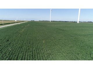 Vermillion County, Illinois Farmland - IMPORTANT FARMLAND & WIND INCOME AUCTION - 874+/- ACRES OFFERED IN 16 TRACTS WITH 6 FARMS IN VERMILION COUNTY, ILLINOIS