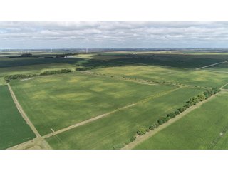 Vermillion County, Illinois Farmland - IMPORTANT FARMLAND & WIND INCOME AUCTION - 874+/- ACRES OFFERED IN 16 TRACTS WITH 6 FARMS IN VERMILION COUNTY, ILLINOIS