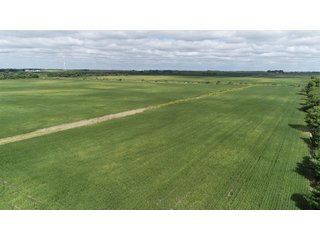 Vermillion County, Illinois Farmland - IMPORTANT FARMLAND & WIND INCOME AUCTION - 874+/- ACRES OFFERED IN 16 TRACTS WITH 6 FARMS IN VERMILION COUNTY, ILLINOIS