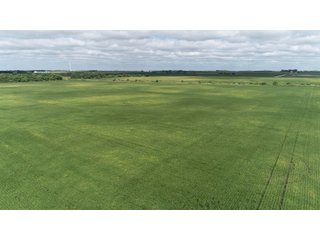 Vermillion County, Illinois Farmland - IMPORTANT FARMLAND & WIND INCOME AUCTION - 874+/- ACRES OFFERED IN 16 TRACTS WITH 6 FARMS IN VERMILION COUNTY, ILLINOIS