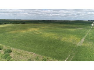 Vermillion County, Illinois Farmland - IMPORTANT FARMLAND & WIND INCOME AUCTION - 874+/- ACRES OFFERED IN 16 TRACTS WITH 6 FARMS IN VERMILION COUNTY, ILLINOIS