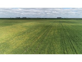 Vermillion County, Illinois Farmland - IMPORTANT FARMLAND & WIND INCOME AUCTION - 874+/- ACRES OFFERED IN 16 TRACTS WITH 6 FARMS IN VERMILION COUNTY, ILLINOIS