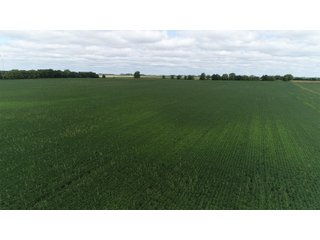 Vermillion County, Illinois Farmland - IMPORTANT FARMLAND & WIND INCOME AUCTION - 874+/- ACRES OFFERED IN 16 TRACTS WITH 6 FARMS IN VERMILION COUNTY, ILLINOIS