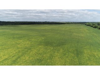 Vermillion County, Illinois Farmland - IMPORTANT FARMLAND & WIND INCOME AUCTION - 874+/- ACRES OFFERED IN 16 TRACTS WITH 6 FARMS IN VERMILION COUNTY, ILLINOIS