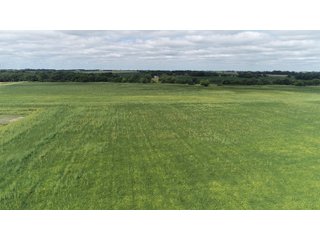 Vermillion County, Illinois Farmland - IMPORTANT FARMLAND & WIND INCOME AUCTION - 874+/- ACRES OFFERED IN 16 TRACTS WITH 6 FARMS IN VERMILION COUNTY, ILLINOIS