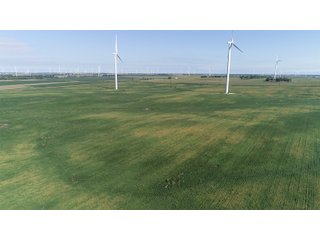 Vermillion County, Illinois Farmland - IMPORTANT FARMLAND & WIND INCOME AUCTION - 874+/- ACRES OFFERED IN 16 TRACTS WITH 6 FARMS IN VERMILION COUNTY, ILLINOIS
