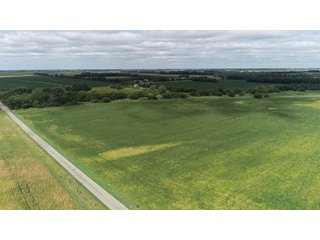 Vermillion County, Illinois Farmland - IMPORTANT FARMLAND & WIND INCOME AUCTION - 874+/- ACRES OFFERED IN 16 TRACTS WITH 6 FARMS IN VERMILION COUNTY, ILLINOIS
