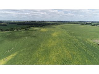 Vermillion County, Illinois Farmland - IMPORTANT FARMLAND & WIND INCOME AUCTION - 874+/- ACRES OFFERED IN 16 TRACTS WITH 6 FARMS IN VERMILION COUNTY, ILLINOIS
