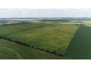 Vermillion County, Illinois Farmland - IMPORTANT FARMLAND & WIND INCOME AUCTION - 874+/- ACRES OFFERED IN 16 TRACTS WITH 6 FARMS IN VERMILION COUNTY, ILLINOIS
