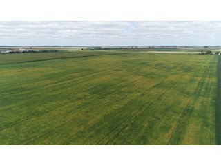 Vermillion County, Illinois Farmland - IMPORTANT FARMLAND & WIND INCOME AUCTION - 874+/- ACRES OFFERED IN 16 TRACTS WITH 6 FARMS IN VERMILION COUNTY, ILLINOIS