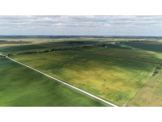 Vermillion County, Illinois Farmland - IMPORTANT FARMLAND & WIND INCOME AUCTION - 874+/- ACRES OFFERED IN 16 TRACTS WITH 6 FARMS IN VERMILION COUNTY, ILLINOIS