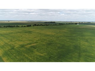 Vermillion County, Illinois Farmland - IMPORTANT FARMLAND & WIND INCOME AUCTION - 874+/- ACRES OFFERED IN 16 TRACTS WITH 6 FARMS IN VERMILION COUNTY, ILLINOIS