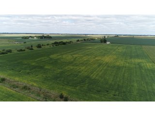 Vermillion County, Illinois Farmland - IMPORTANT FARMLAND & WIND INCOME AUCTION - 874+/- ACRES OFFERED IN 16 TRACTS WITH 6 FARMS IN VERMILION COUNTY, ILLINOIS