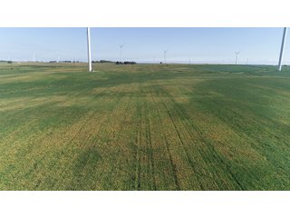 Vermillion County, Illinois Farmland - IMPORTANT FARMLAND & WIND INCOME AUCTION - 874+/- ACRES OFFERED IN 16 TRACTS WITH 6 FARMS IN VERMILION COUNTY, ILLINOIS