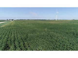 Vermillion County, Illinois Farmland - IMPORTANT FARMLAND & WIND INCOME AUCTION - 874+/- ACRES OFFERED IN 16 TRACTS WITH 6 FARMS IN VERMILION COUNTY, ILLINOIS