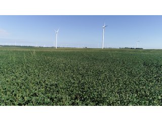 Vermillion County, Illinois Farmland - IMPORTANT FARMLAND & WIND INCOME AUCTION - 874+/- ACRES OFFERED IN 16 TRACTS WITH 6 FARMS IN VERMILION COUNTY, ILLINOIS