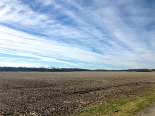 Wayne County, Indiana Farmland - QUALITY LAND AUCTION - 156+/- ACRES OFFERED IN 2 TRACTS IN WAYNE COUNTY, INDIANA