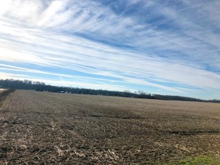 Wayne County, Indiana Farmland - QUALITY LAND AUCTION - 156+/- ACRES OFFERED IN 2 TRACTS IN WAYNE COUNTY, INDIANA