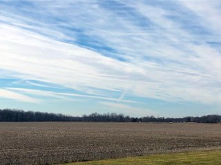 Wayne County, Indiana Farmland - QUALITY LAND AUCTION - 156+/- ACRES OFFERED IN 2 TRACTS IN WAYNE COUNTY, INDIANA