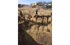 Property photo 159 - **DATE CHANGE!** EXTRA FARM EQUIPMENT AUCTION IN VAN WERT COUNTY, OHIO