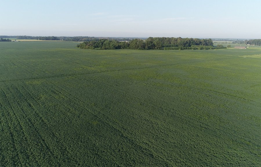 SPECTACULAR REAL ESTATE AUCTION - 1,122+/- ACRES OFFERED IN 24 TRACTS IN HANCOCK COUNTY, INDIANA