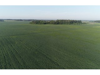 Property photo 1 - SPECTACULAR REAL ESTATE AUCTION - 1,122+/- ACRES OFFERED IN 24 TRACTS IN HANCOCK COUNTY, INDIANA