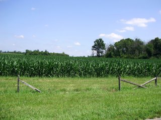 Farm A in Hancock County, Indiana Farmland - SPECTACULAR REAL ESTATE AUCTION - 1,122+/- ACRES OFFERED IN 24 TRACTS IN HANCOCK COUNTY, INDIANA