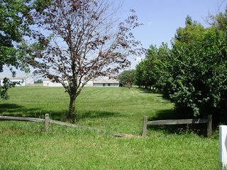 Farm A in Hancock County, Indiana Farmland - SPECTACULAR REAL ESTATE AUCTION - 1,122+/- ACRES OFFERED IN 24 TRACTS IN HANCOCK COUNTY, INDIANA