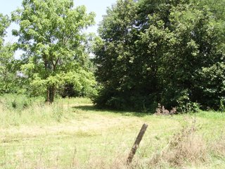 Farm A in Hancock County, Indiana Farmland - SPECTACULAR REAL ESTATE AUCTION - 1,122+/- ACRES OFFERED IN 24 TRACTS IN HANCOCK COUNTY, INDIANA