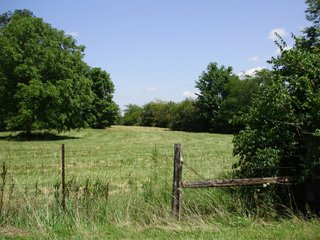 Farm A in Hancock County, Indiana Farmland - SPECTACULAR REAL ESTATE AUCTION - 1,122+/- ACRES OFFERED IN 24 TRACTS IN HANCOCK COUNTY, INDIANA