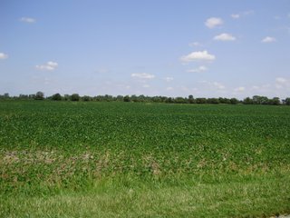 Farm A in Hancock County, Indiana Farmland - SPECTACULAR REAL ESTATE AUCTION - 1,122+/- ACRES OFFERED IN 24 TRACTS IN HANCOCK COUNTY, INDIANA