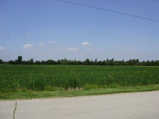 Farm A in Hancock County, Indiana Farmland - SPECTACULAR REAL ESTATE AUCTION - 1,122+/- ACRES OFFERED IN 24 TRACTS IN HANCOCK COUNTY, INDIANA