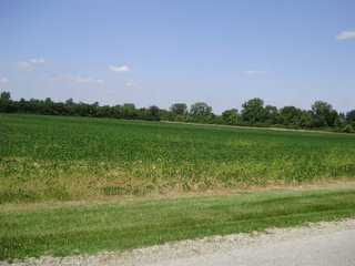 Farm A in Hancock County, Indiana Farmland - SPECTACULAR REAL ESTATE AUCTION - 1,122+/- ACRES OFFERED IN 24 TRACTS IN HANCOCK COUNTY, INDIANA