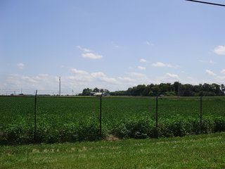 Farm B in Hancock County, Indiana Farmland - SPECTACULAR REAL ESTATE AUCTION - 1,122+/- ACRES OFFERED IN 24 TRACTS IN HANCOCK COUNTY, INDIANA