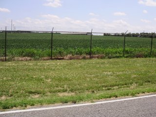 Farm B in Hancock County, Indiana Farmland - SPECTACULAR REAL ESTATE AUCTION - 1,122+/- ACRES OFFERED IN 24 TRACTS IN HANCOCK COUNTY, INDIANA