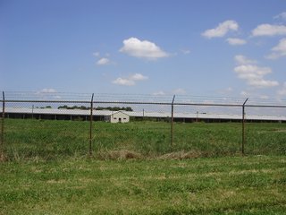 Farm B in Hancock County, Indiana Farmland - SPECTACULAR REAL ESTATE AUCTION - 1,122+/- ACRES OFFERED IN 24 TRACTS IN HANCOCK COUNTY, INDIANA