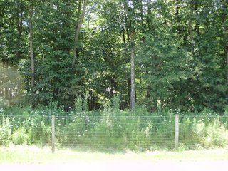 Farm B in Hancock County, Indiana Farmland - SPECTACULAR REAL ESTATE AUCTION - 1,122+/- ACRES OFFERED IN 24 TRACTS IN HANCOCK COUNTY, INDIANA