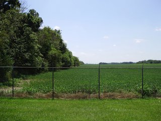 Farm B in Hancock County, Indiana Farmland - SPECTACULAR REAL ESTATE AUCTION - 1,122+/- ACRES OFFERED IN 24 TRACTS IN HANCOCK COUNTY, INDIANA