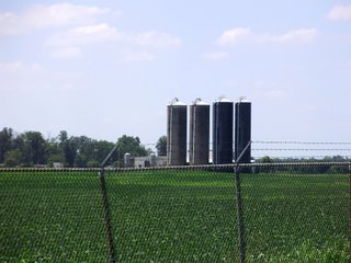 Farm B in Hancock County, Indiana Farmland - SPECTACULAR REAL ESTATE AUCTION - 1,122+/- ACRES OFFERED IN 24 TRACTS IN HANCOCK COUNTY, INDIANA