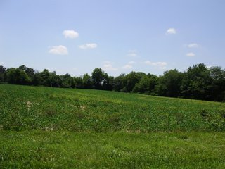 Farm C in Hancock County, Indiana Farmland - SPECTACULAR REAL ESTATE AUCTION - 1,122+/- ACRES OFFERED IN 24 TRACTS IN HANCOCK COUNTY, INDIANA