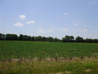 Farm C in Hancock County, Indiana Farmland - SPECTACULAR REAL ESTATE AUCTION - 1,122+/- ACRES OFFERED IN 24 TRACTS IN HANCOCK COUNTY, INDIANA