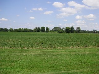 Farm C in Hancock County, Indiana Farmland - SPECTACULAR REAL ESTATE AUCTION - 1,122+/- ACRES OFFERED IN 24 TRACTS IN HANCOCK COUNTY, INDIANA
