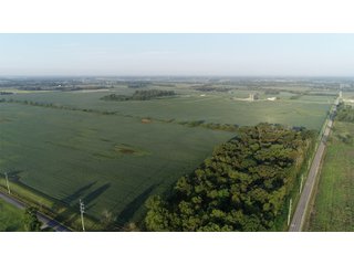 Hancock County, Indiana Farmland - SPECTACULAR REAL ESTATE AUCTION - 1,122+/- ACRES OFFERED IN 24 TRACTS IN HANCOCK COUNTY, INDIANA