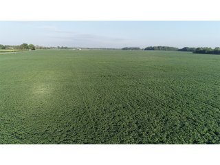 Hancock County, Indiana Farmland - SPECTACULAR REAL ESTATE AUCTION - 1,122+/- ACRES OFFERED IN 24 TRACTS IN HANCOCK COUNTY, INDIANA