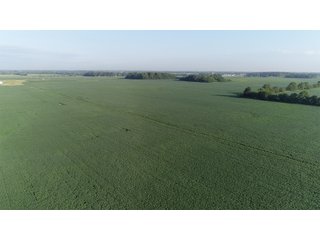 Hancock County, Indiana Farmland - SPECTACULAR REAL ESTATE AUCTION - 1,122+/- ACRES OFFERED IN 24 TRACTS IN HANCOCK COUNTY, INDIANA
