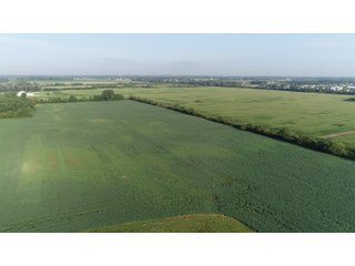 Hancock County, Indiana Farmland - SPECTACULAR REAL ESTATE AUCTION - 1,122+/- ACRES OFFERED IN 24 TRACTS IN HANCOCK COUNTY, INDIANA