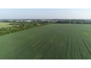 Hancock County, Indiana Farmland - SPECTACULAR REAL ESTATE AUCTION - 1,122+/- ACRES OFFERED IN 24 TRACTS IN HANCOCK COUNTY, INDIANA