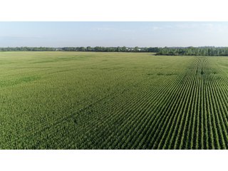 Tracts 11 in Hancock County, Indiana - SPECTACULAR REAL ESTATE AUCTION - 1,122+/- ACRES OFFERED IN 24 TRACTS IN HANCOCK COUNTY, INDIANA