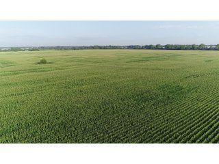 Hancock County, Indiana Farmland - SPECTACULAR REAL ESTATE AUCTION - 1,122+/- ACRES OFFERED IN 24 TRACTS IN HANCOCK COUNTY, INDIANA