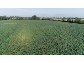 Hancock County, Indiana Farmland - SPECTACULAR REAL ESTATE AUCTION - 1,122+/- ACRES OFFERED IN 24 TRACTS IN HANCOCK COUNTY, INDIANA